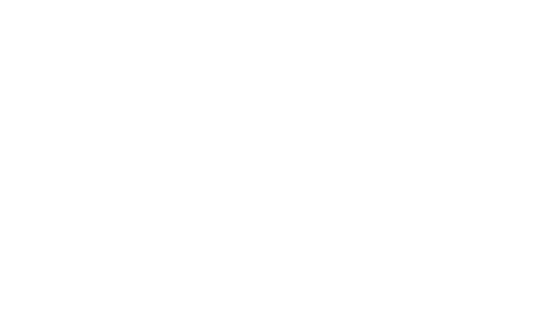 Dibudibus